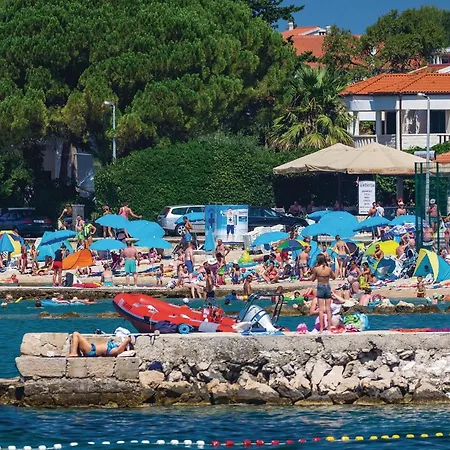 Apartament Cozy In *