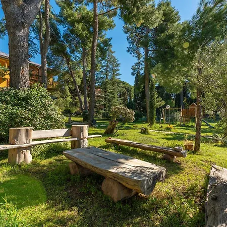 Cozy In * 스베티필립아이자코브