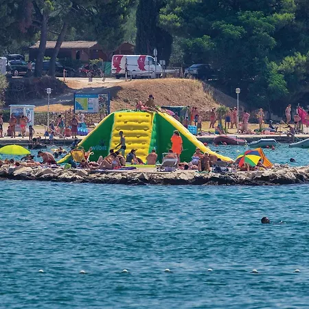 Cozy In * 스베티필립아이자코브